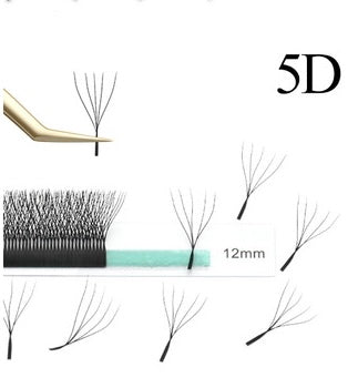 5D SHE MADES